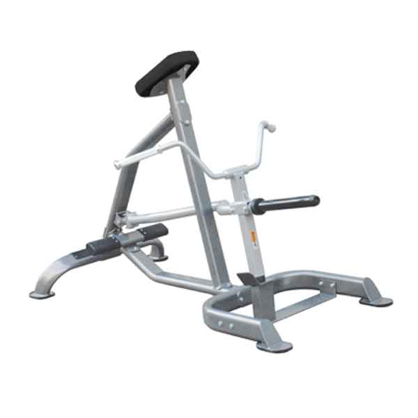 Elite Series T-Bar Row